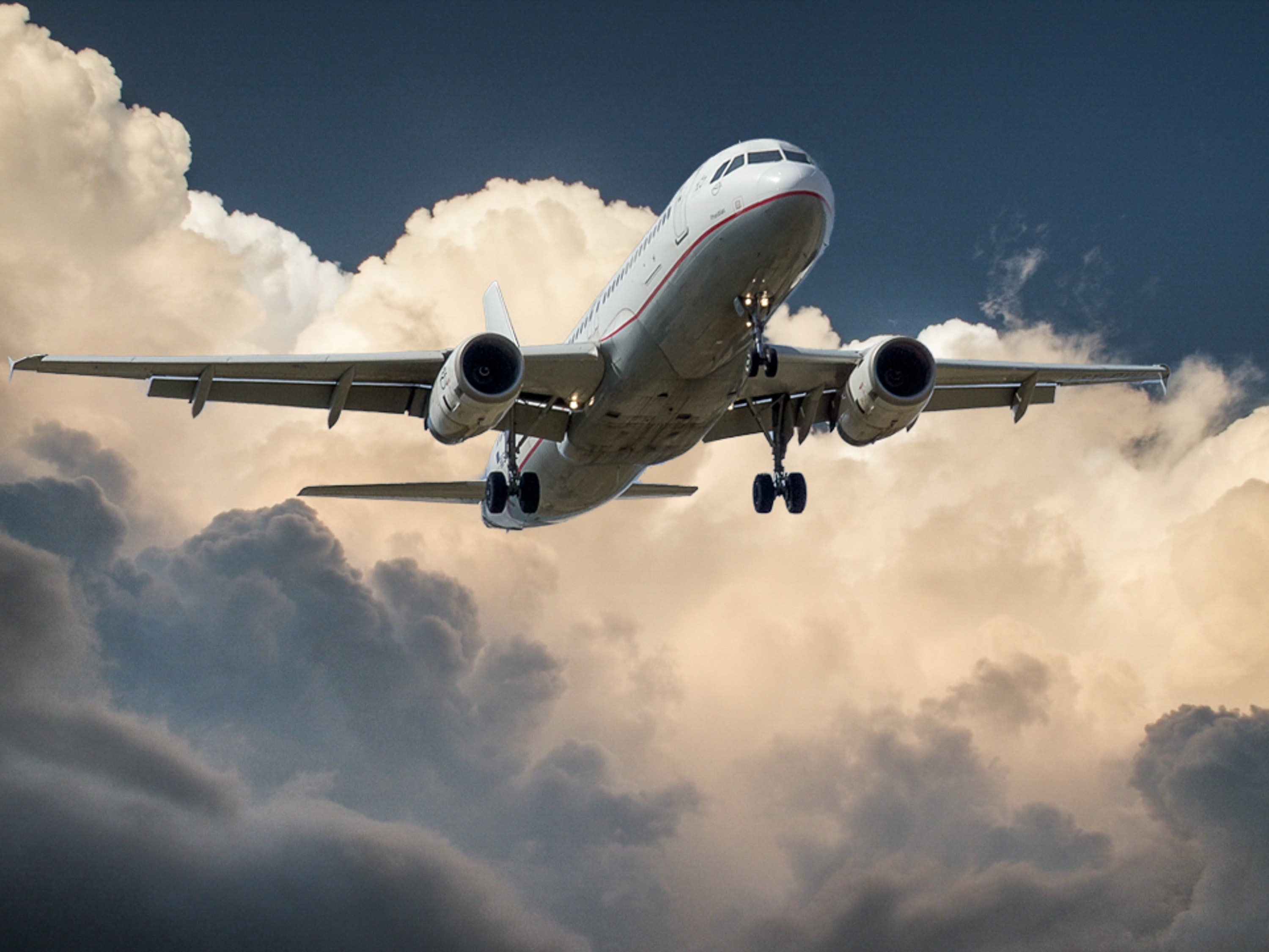 Aerolínea reembolsa 24 mil pesos a una pareja por culpa de un perrito y sus gases