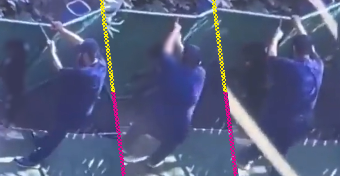 Video exhibe maltrato a un perrito en hotel para mascotas Dogtime de CDMX