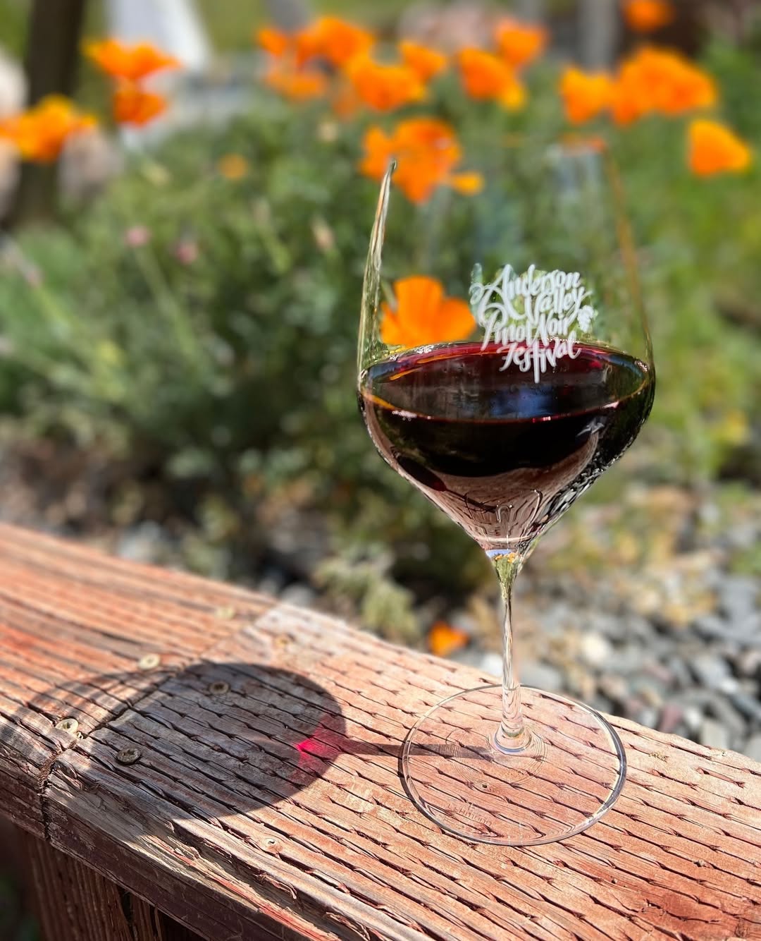 viñedos en California primavera