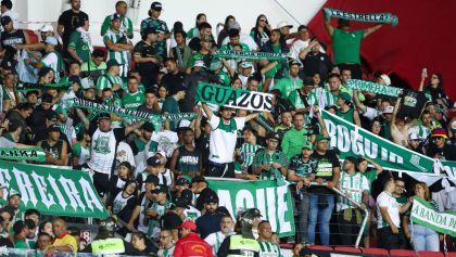 Aficionado de Atlético Nacional muere apuñalado en Libertadores