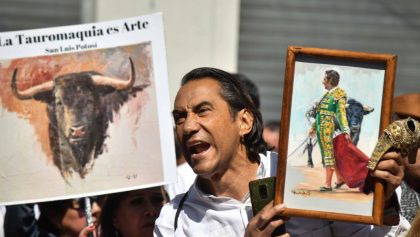 Planean acciones legales vs corridas de toros sin violencia