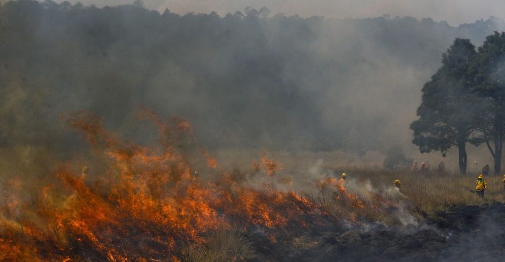 Incendios forestales en México.