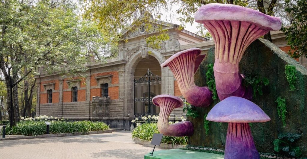Megahongos invaden Chapultepec