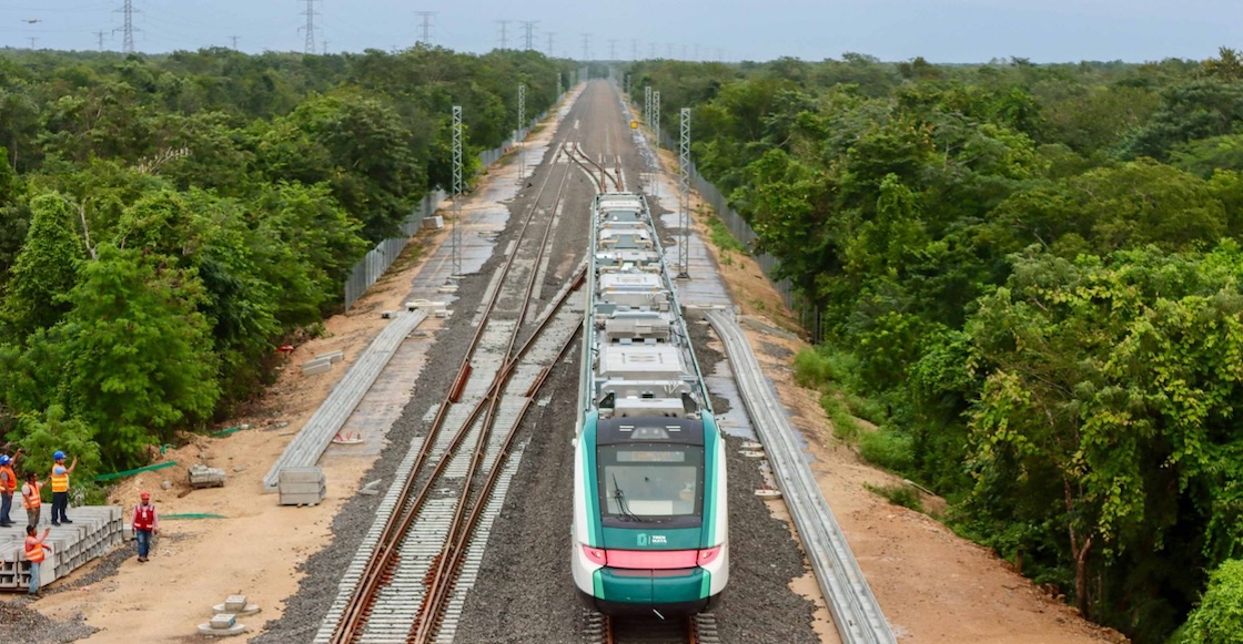 SEMARNAT reconoce daños ecológicos por la construcción del Tren Maya