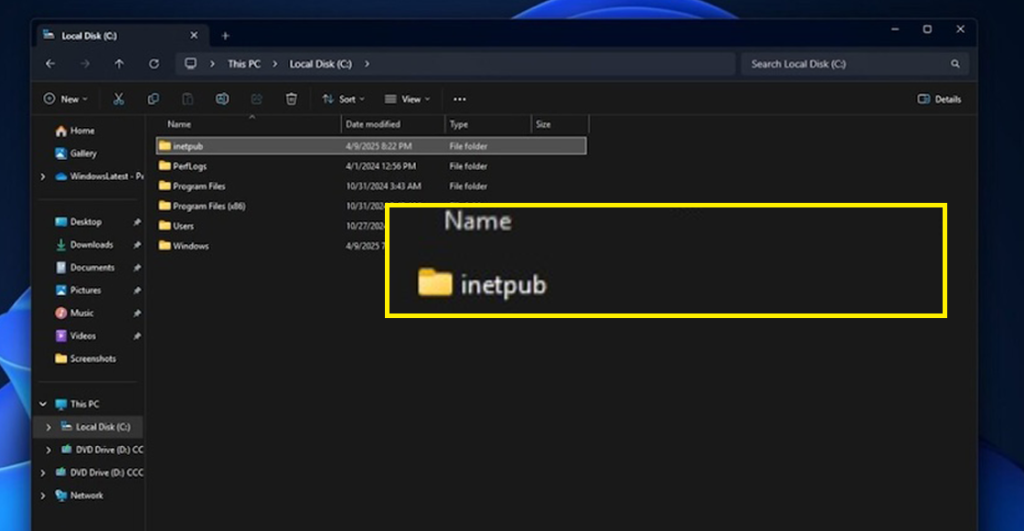windows-11-folder-carpeta-no-borrar-seguridad-inetpub-microsoft-3