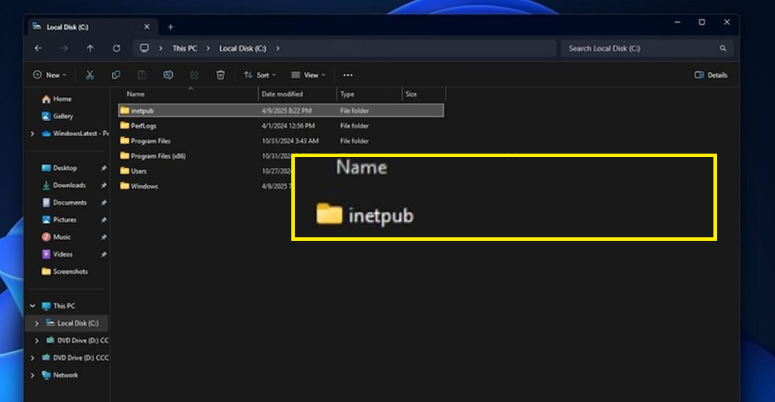 windows-11-folder-carpeta-no-borrar-seguridad-inetpub-microsoft-3