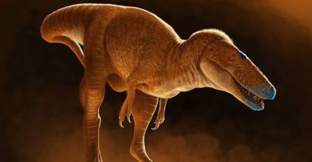 descubren-principe-dragones-eslabon-perdido-tiranosaurio-rex