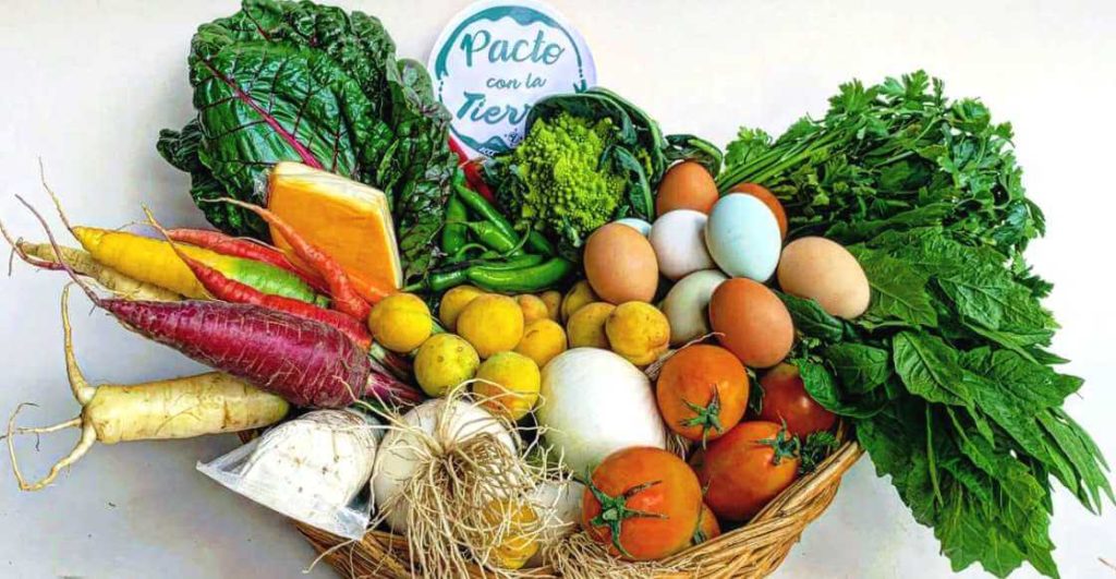 Huertos en CDMX para comprar verduras frescas