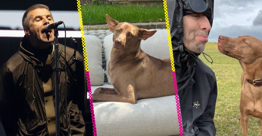 Buttons la perrita de Liam Gallagher que acompaña a Oasis