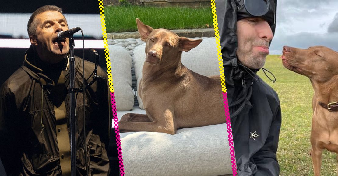 Buttons: La perrita de Liam Gallagher que ‘acompaña’ a Oasis en su gira de reunión